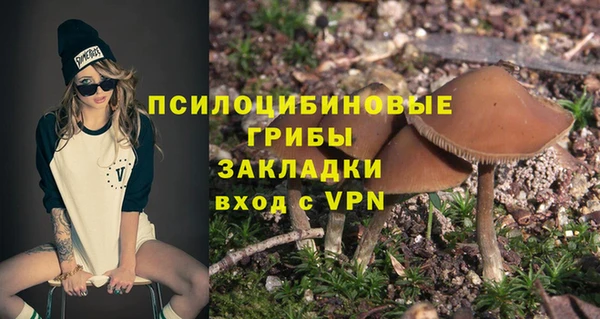 a pvp Богородицк